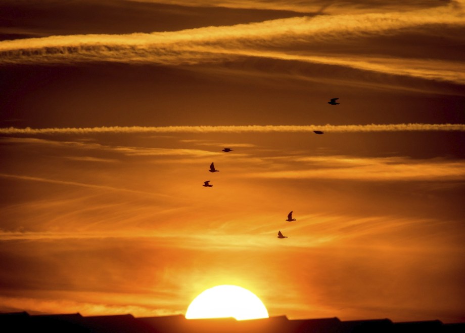 Estelas de aviones en el cielo sobre la ciudad alemana de Francfort. EFE/Frank Rumpenhorst