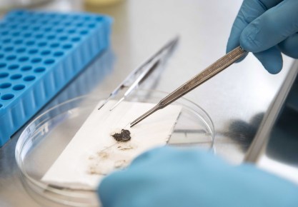 Un investigador estudia una muestra de ADN animal en un laboratorio de los Países Bajos. EPA/JEROEN JUMELET