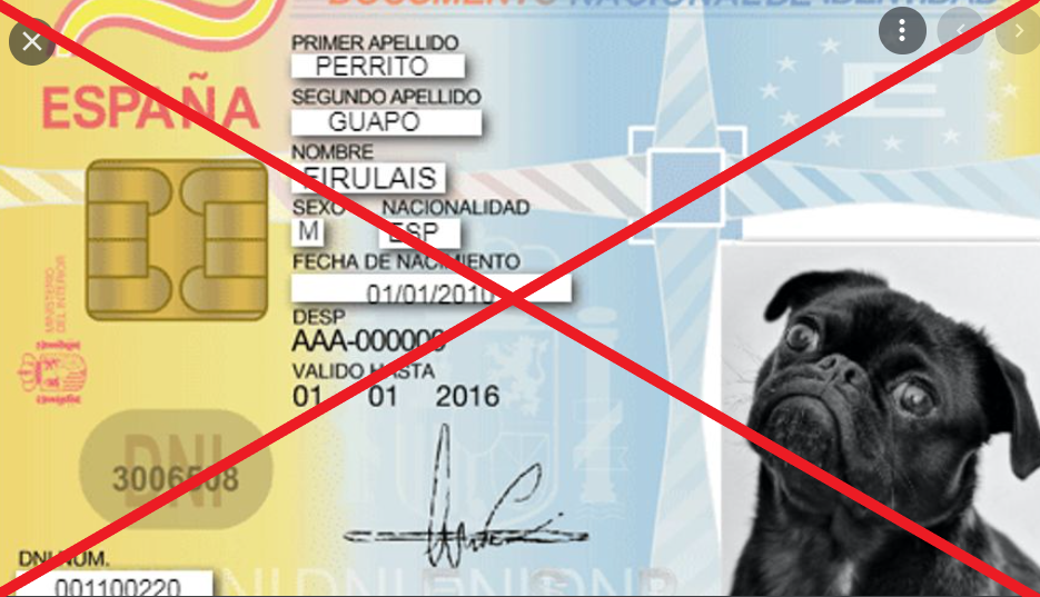 DNI Documento Identidad Animales Ley Protección