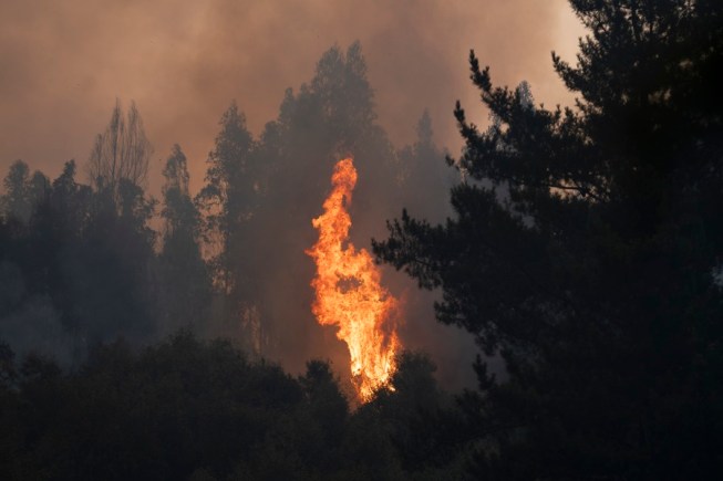 expulsión israelíes incendios patagonia